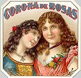 coronaderosaso