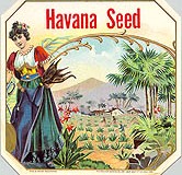 havanaseed2o