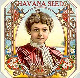 havanaseedo