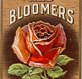 redbloomerso